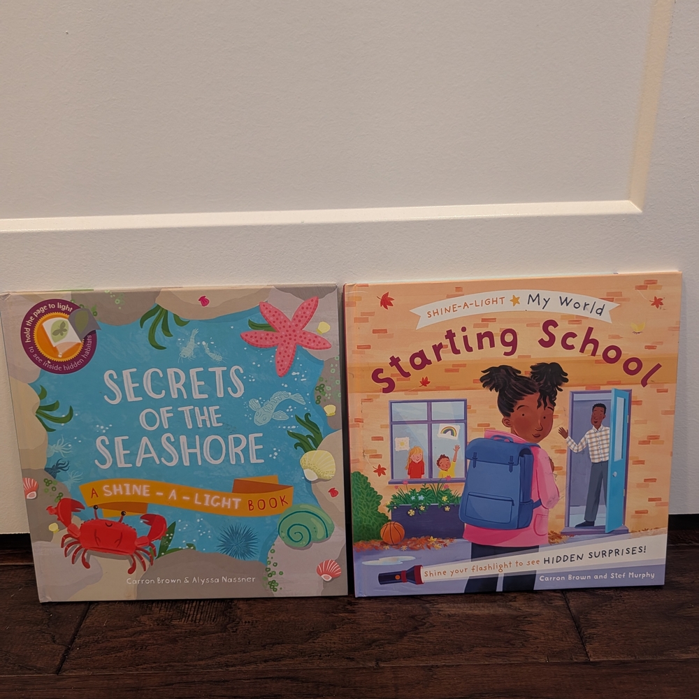 KANE MILLER Shine-A-Light Book Lot Of2 Secrets of the Seashore & Starting School